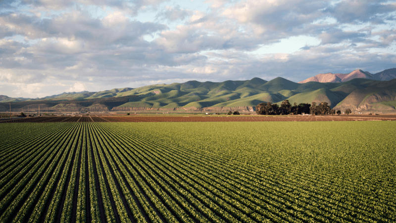 Farmland